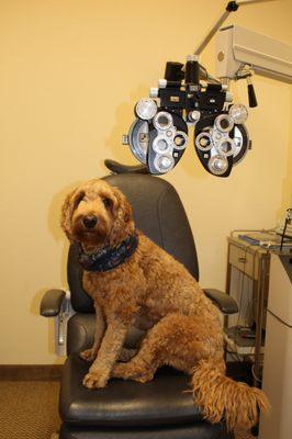 Robert C. Fox MD, Inc. / Family Medical Eye Center