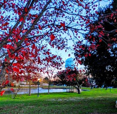 Kiwanis Community Park