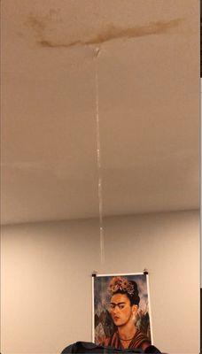 March 2019 - water damage to personal belongings.