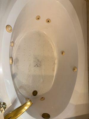 Ann's Helping Hands Home Cleaning Service