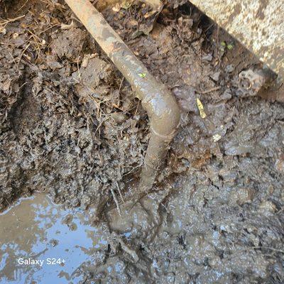 Neely Mechanical Services