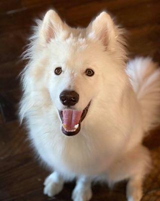 Edmond Critter Sitter