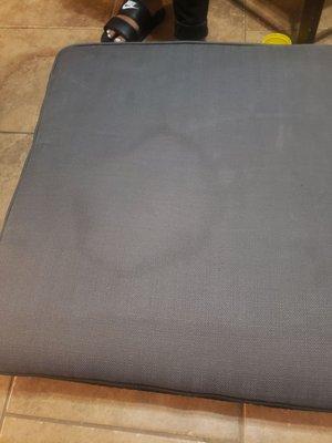 Upholstery Cleaning Dallas