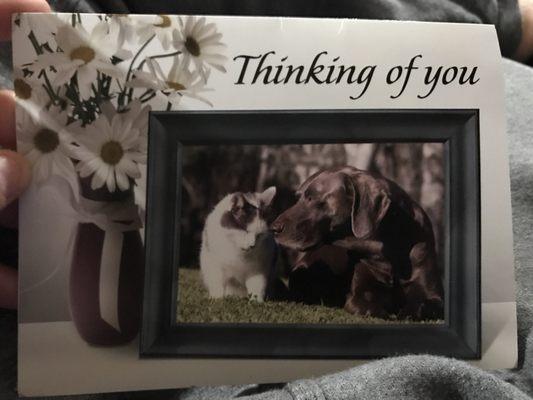 Van Zandt Animal Care Center