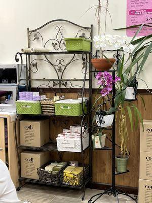 Manicure Manicure & Pedicure