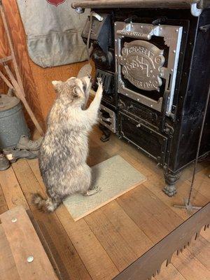 Henninger Flats Visitor Center