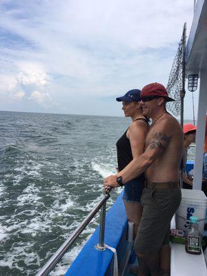 Watching porpoises