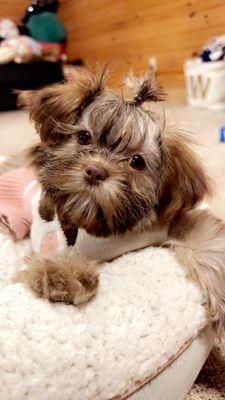 Salt Creek Veterinarian Hospital