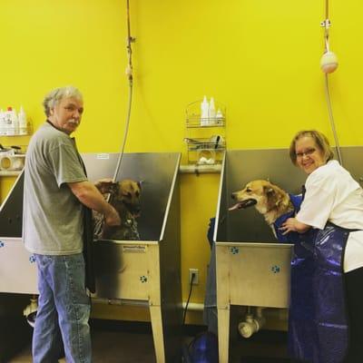 Daisy & Duke's 1st time here! What a great experience!!