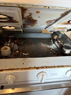 Missions Combat Cleaners