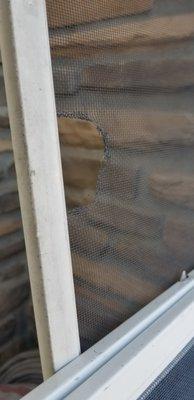 Mobile Window and Door Rescreening