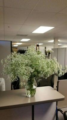This is how much baby's breath was in the vase and there shouldn't have been any at all.