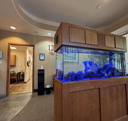 Blue Oak Dental Rocklin