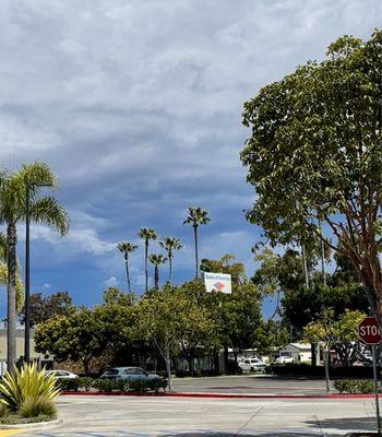 Bank of America Financial Center