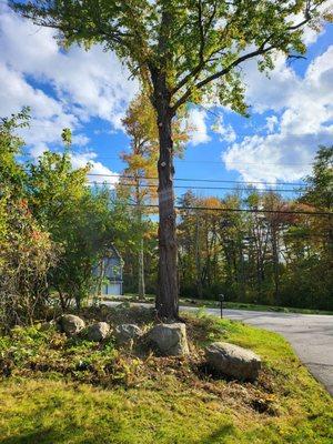 JRG Exterior Home And Yard