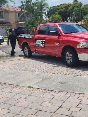 Moes Pest Control