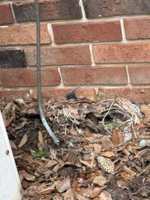 Air conditioner, condensation overflow line