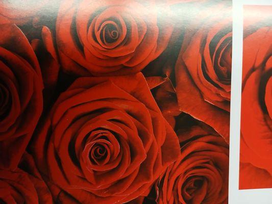 Big Jack And Tony Build Repair