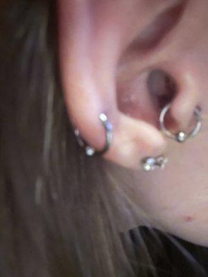 Needle Masters Tattoo Studio