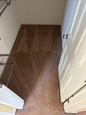 Foamin’ carpet care