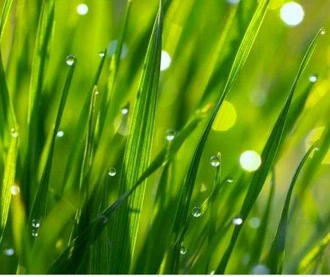 Talamantez & Associates