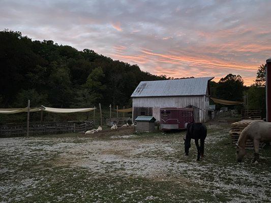Holistic Horsemanship Institute of America