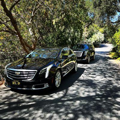 2019 Cadillac XTS & 2020 Cadillac Escalade
