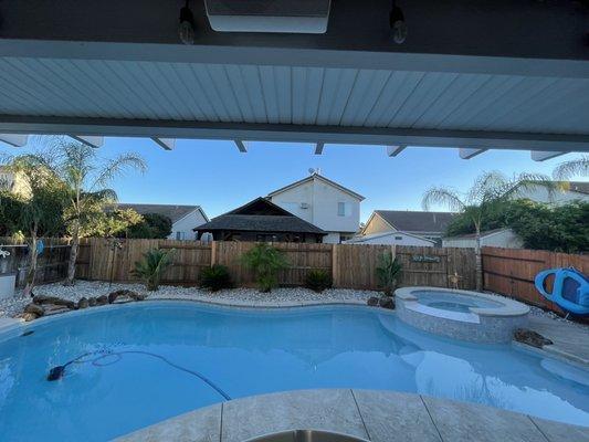 Palm Trees and Plants