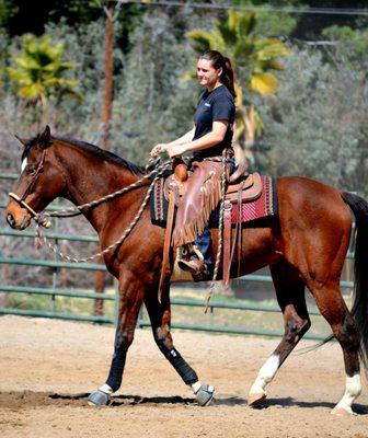 Hackamore Hands Horsemanship
