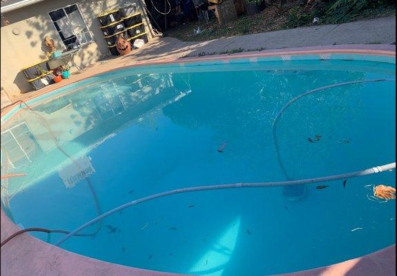 Espineli Pool Service