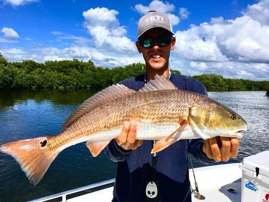 Crystal River Redfish