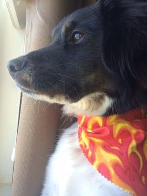 My boys looking spiffy after their visit