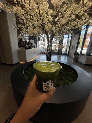 Sparking Yuzu Matcha