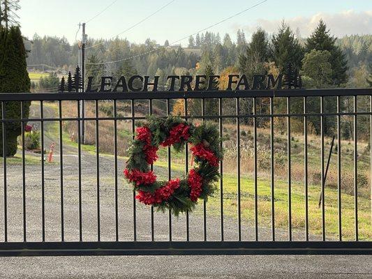Leach Tree Farms