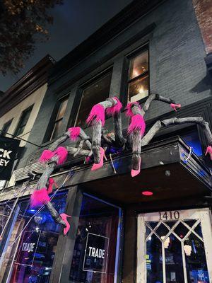 Spider with high heels