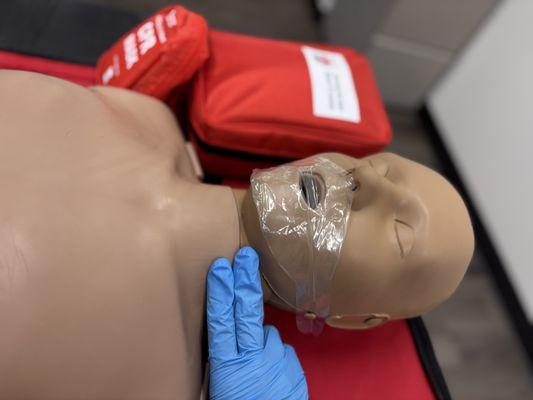 Pulse Point Simulation