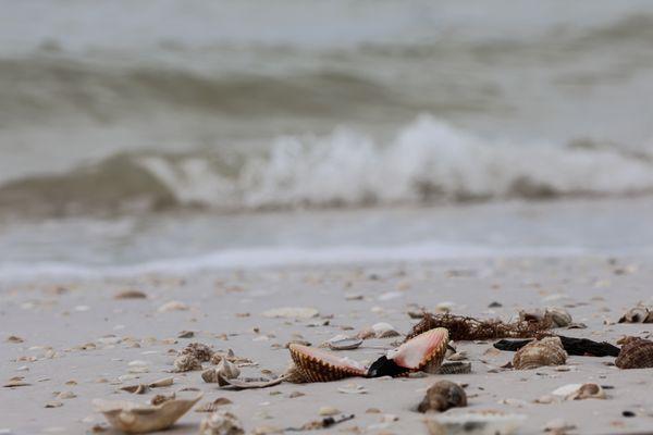 Heather Hathaway Photography