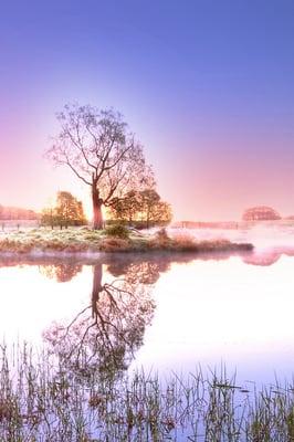 Rancho Meridian Mobilehome Estates