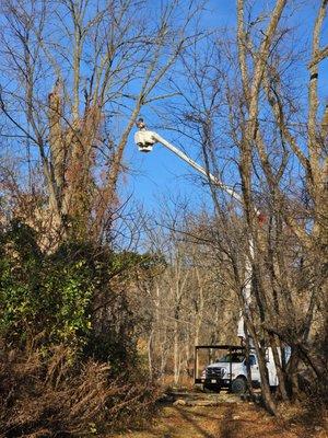 High Performance Tree Service
