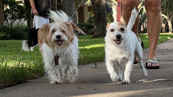 Fetch! Pet Care Katy