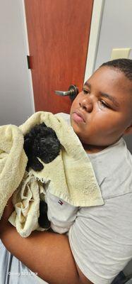 puppy dog grooming- downtown dawgz