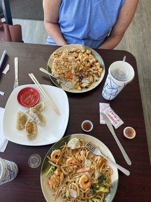 Hibachi chicken, shrimp lo mein, pan fried dumplings