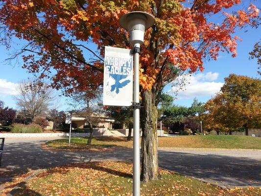 Beautiful fall day. Go eagles!