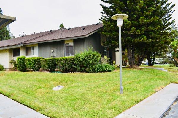 Brett Thomas - The Swodeck Group