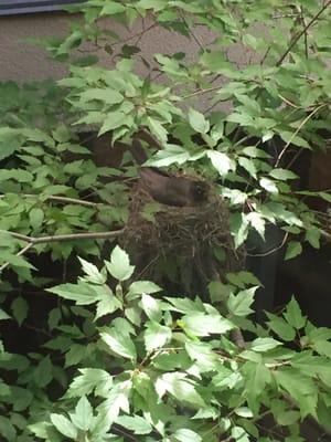 Sky Lakes Outpatient Rehabilitation