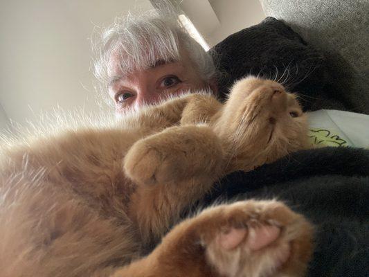 Waggin' Wheels Housecall Veterinary Service