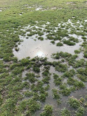 Hollister Airport Bark Park