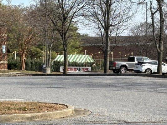 Budding Branch Landscape and Design