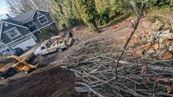Tree Services  4256147668