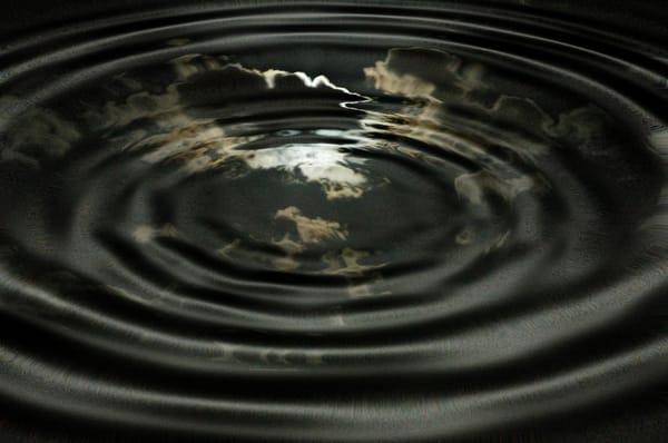 W.D. Carr Photography